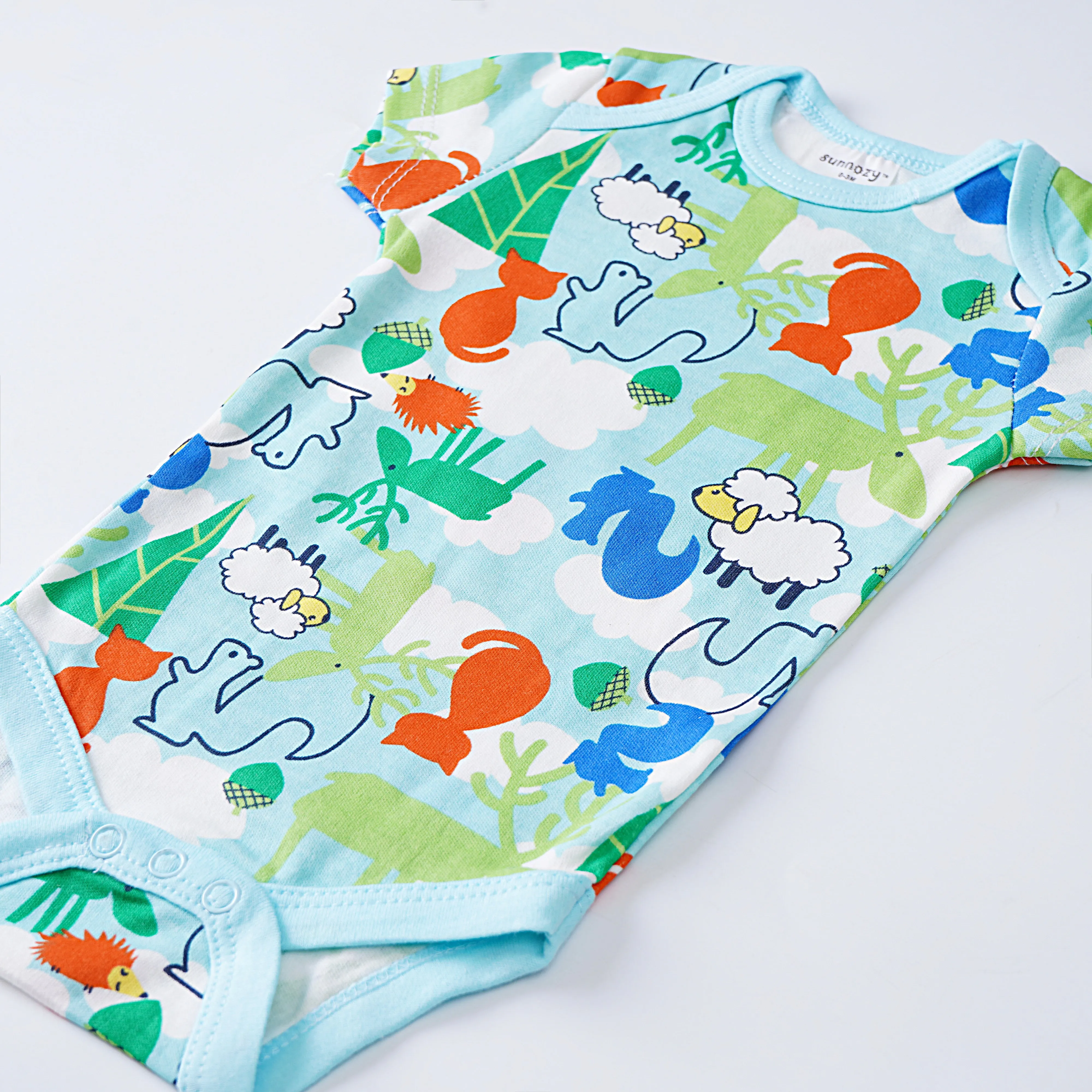 Boys Romper (F-21)