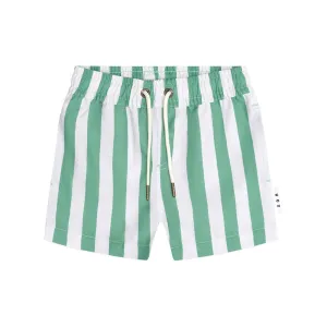 Cabana Stripe Swim Short
