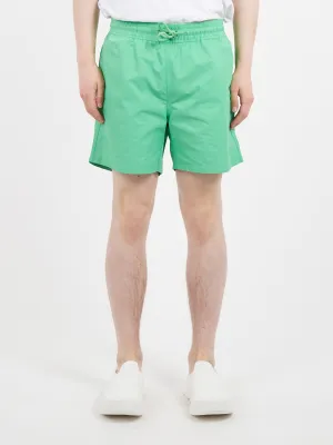 Classic Swim Shorts