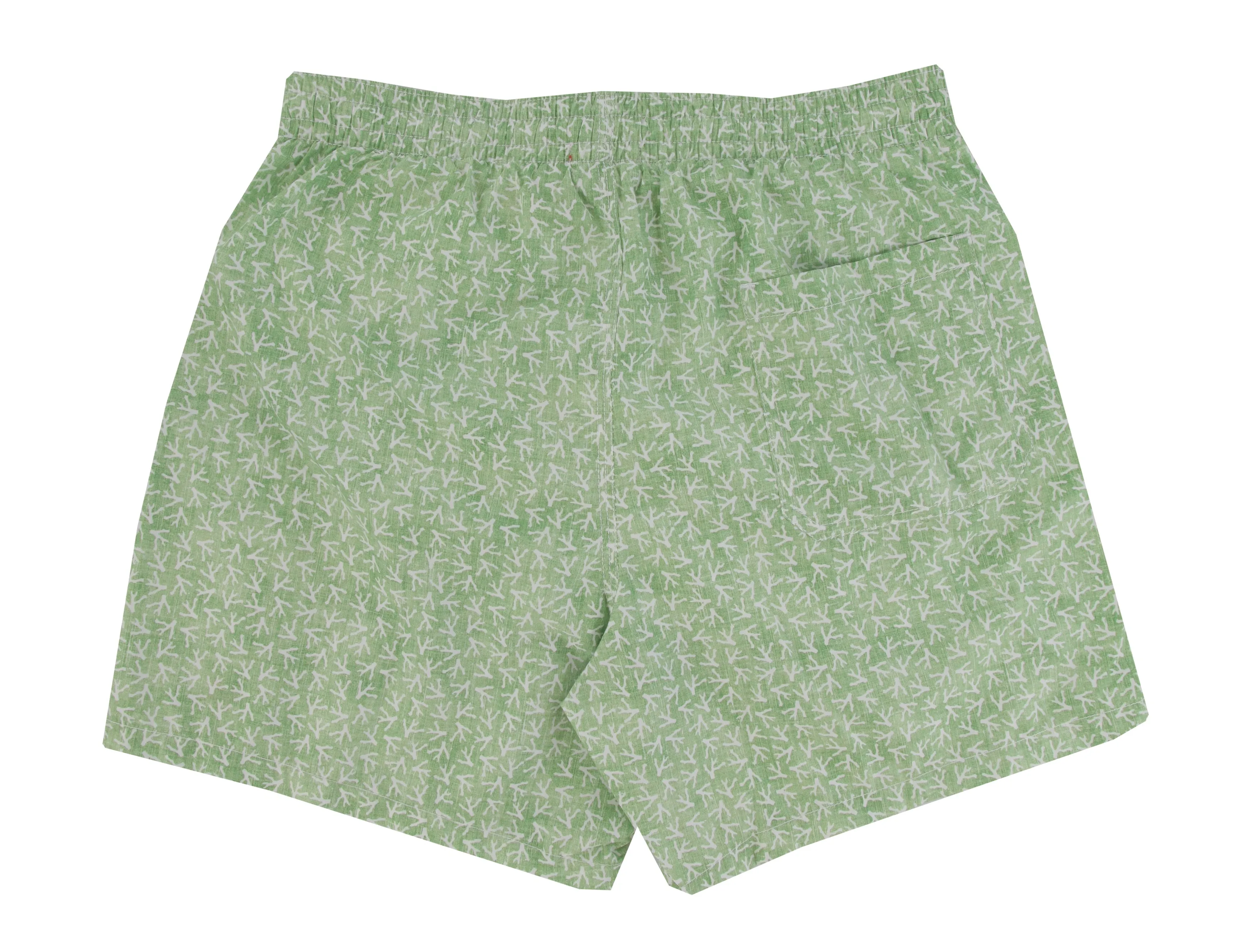 Isaia Light Green Swim Shorts