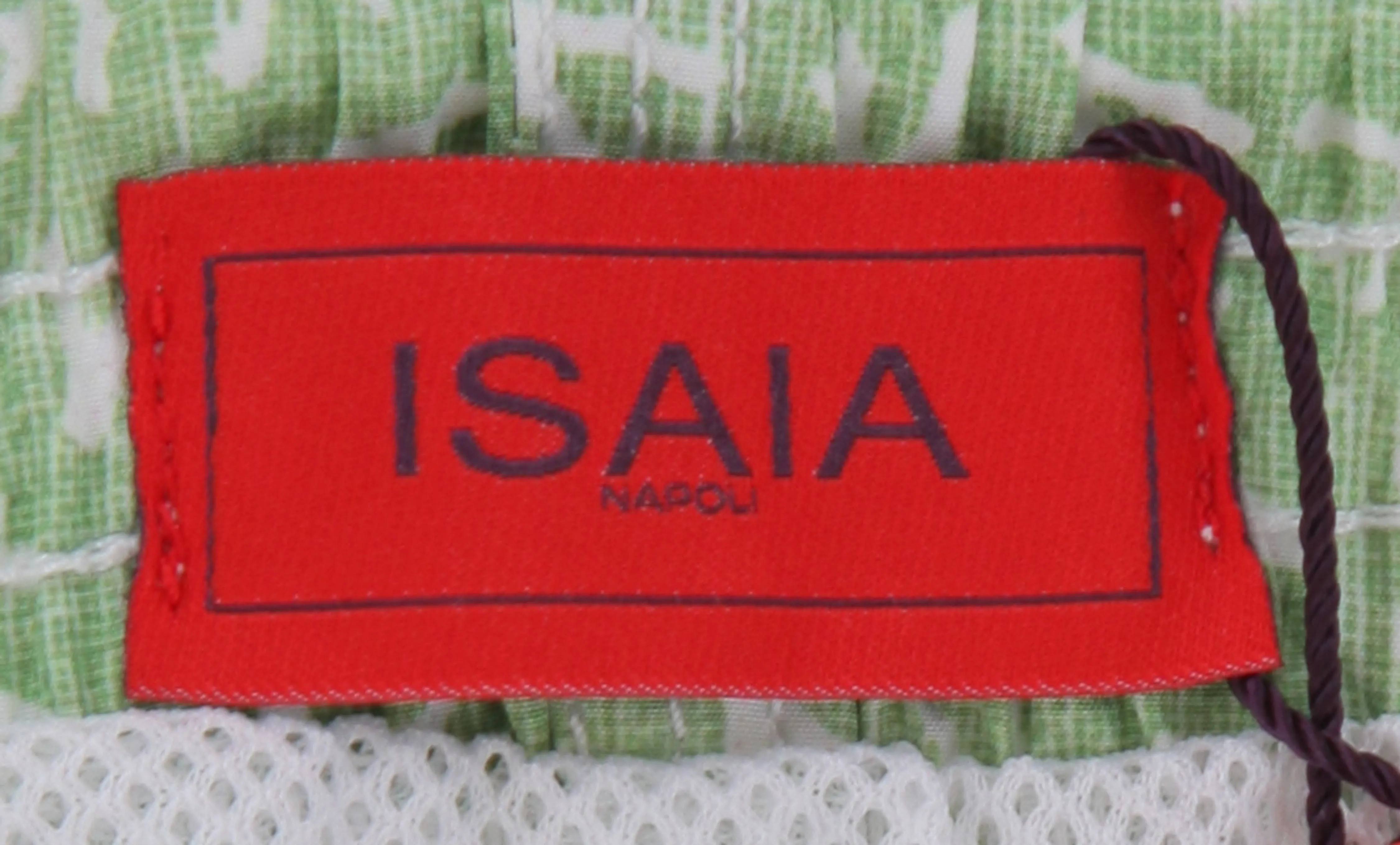 Isaia Light Green Swim Shorts