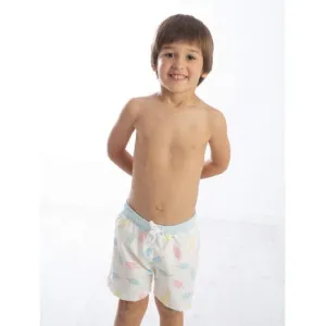MEIA PATA - Ice Lolly Swim Shorts