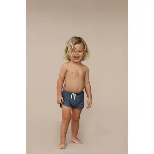 Mesa Swim Shorts - Mineral