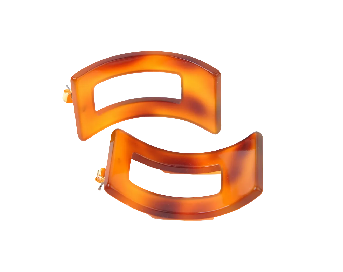 Tortoise Shell Earrings